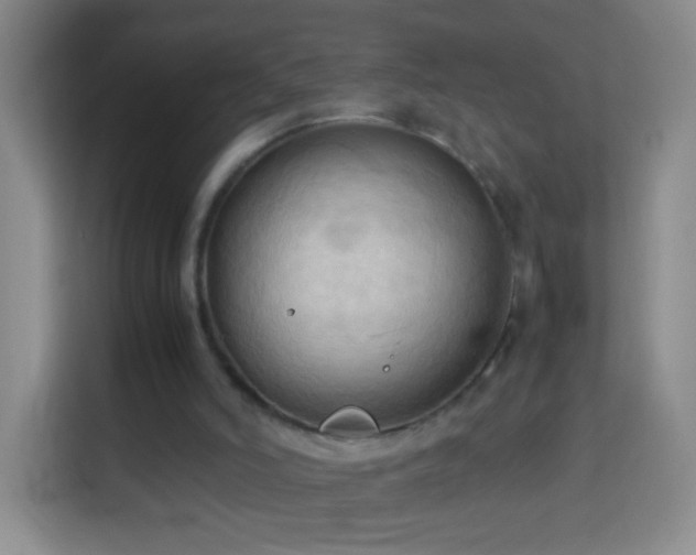 X0000114060006200910051226