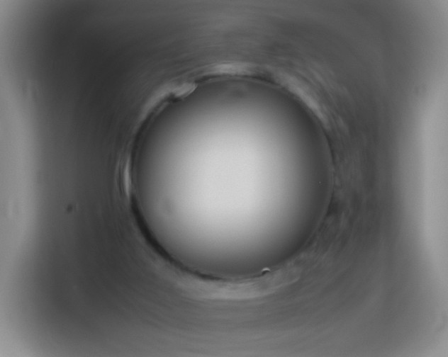 X0000114060011200910051226