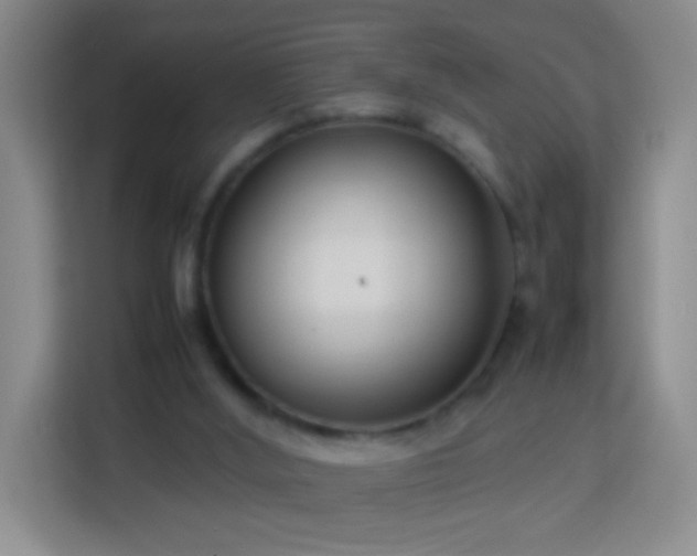 X0000114060012200910051226