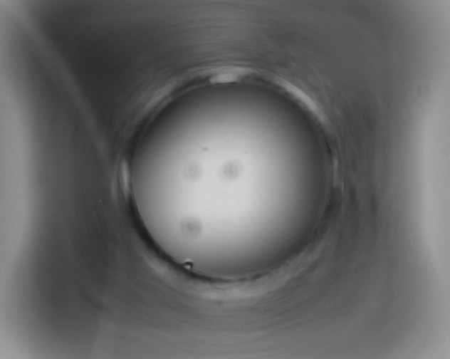 X0000114060013200910051226