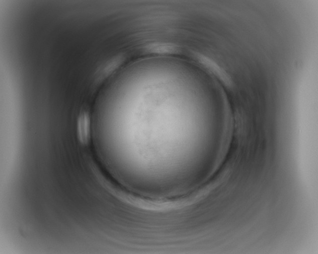 X0000114060014200910051226