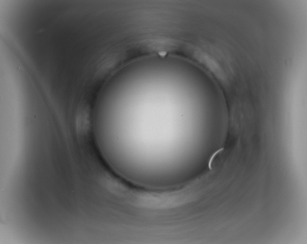 X0000114060017200910051225