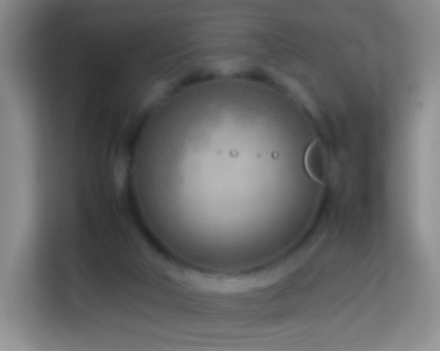 X0000114060018200910051225