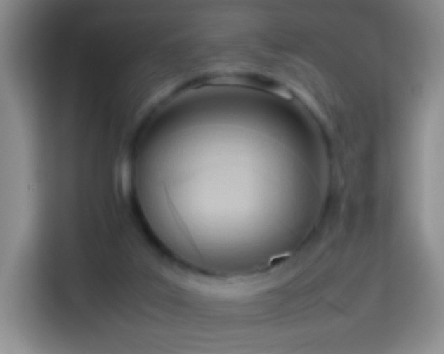 X0000114060019200910051225