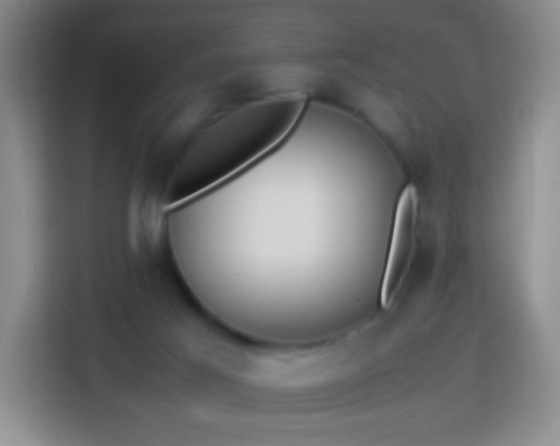 X0000114060021200910051225