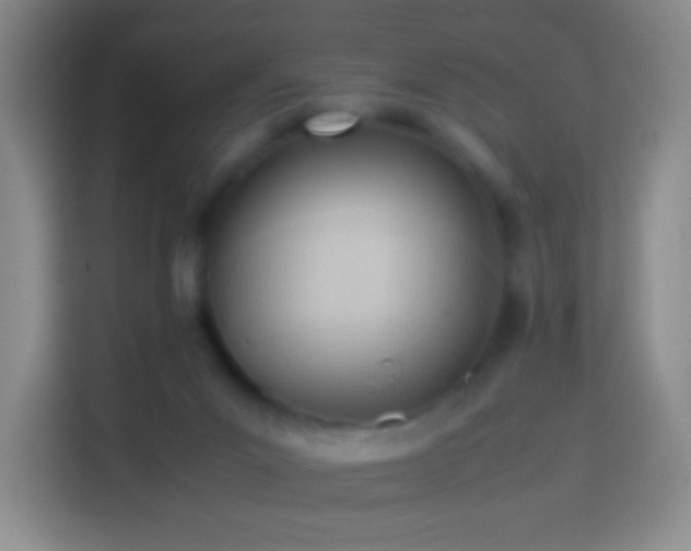 X0000114060023200910051225