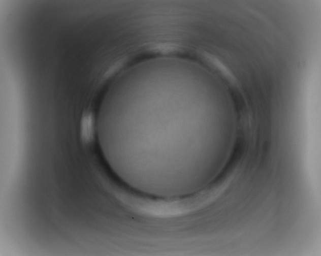 X0000114060024200910051225