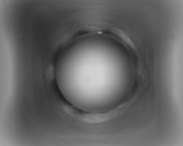 X0000114060025200910051225