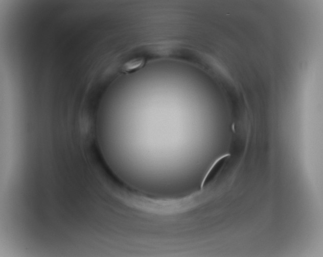 X0000114060031200910051225