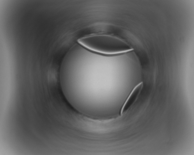 X0000114060035200910051225