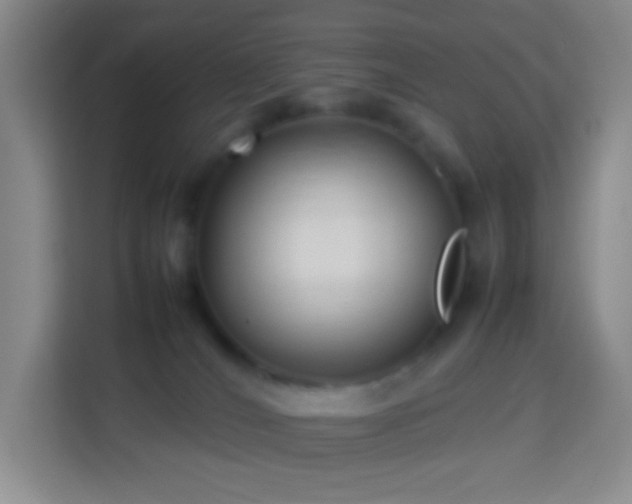 X0000114060036200910051225