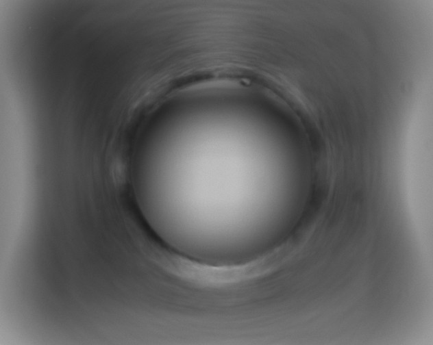 X0000114060039200910051225