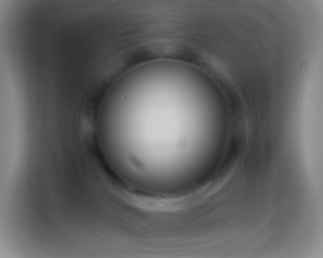 X0000114060040200910051225