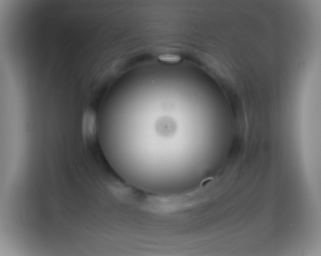 X0000114060041200910051225