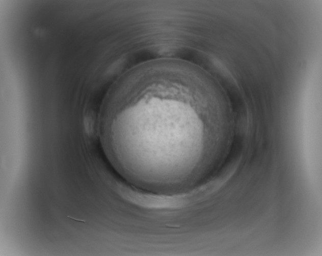 X0000114060044200910051225