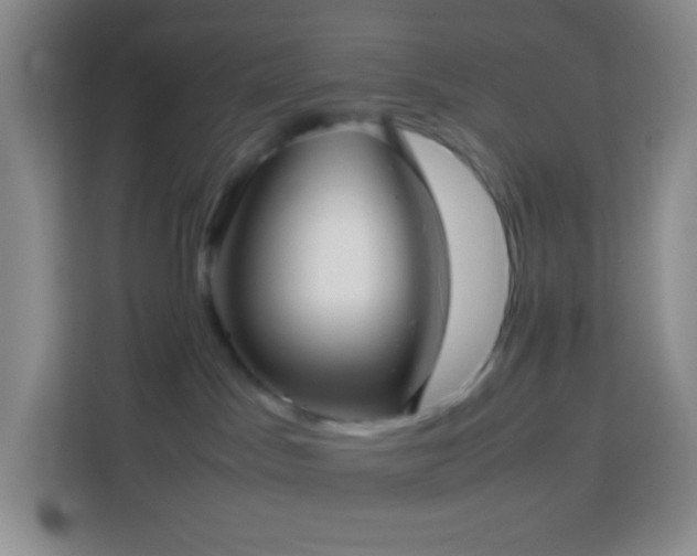 X0000114060045200910051225