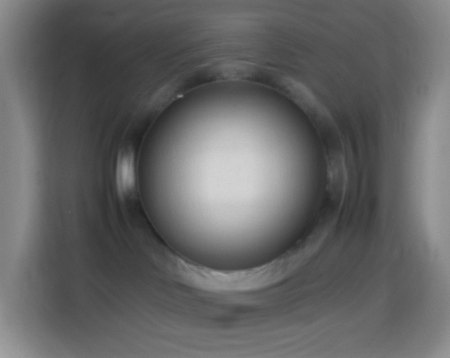 X0000114060046200910051225