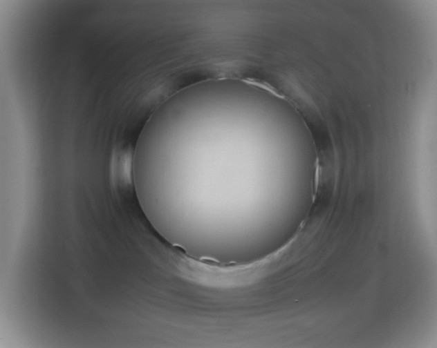 X0000114060047200910051225