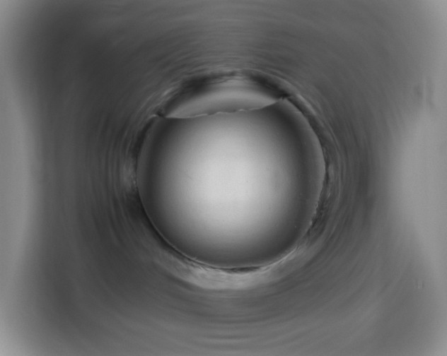 X0000114060048200910051225