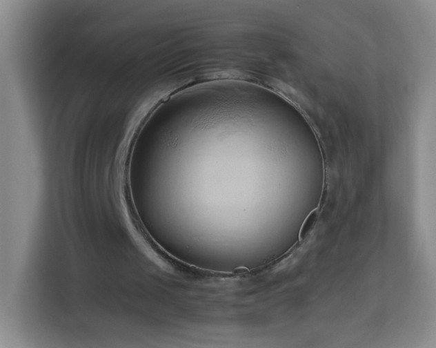 X0000114060049200910051224