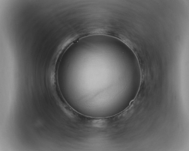 X0000114060050200910051224