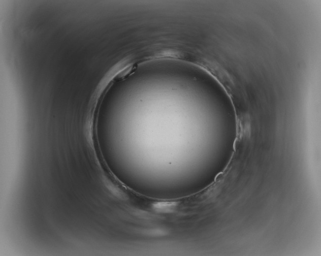 X0000114060051200910051224