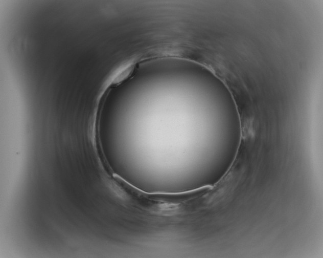 X0000114060052200910051224