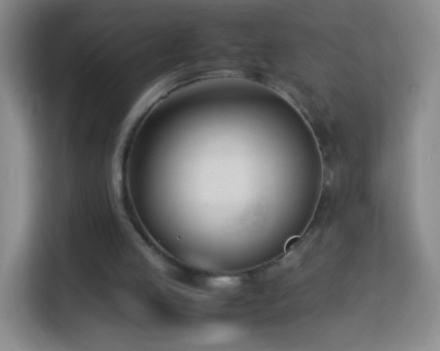 X0000114060053200910051225