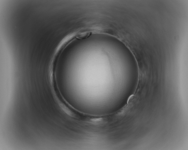 X0000114060054200910051225