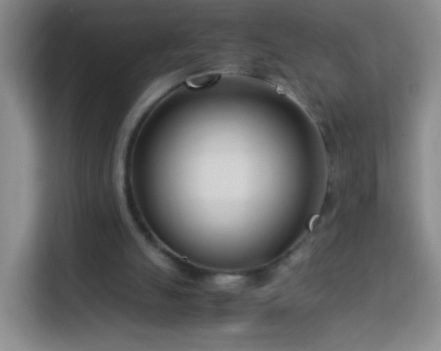 X0000114060055200910051225