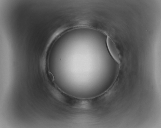 X0000114060056200910051225