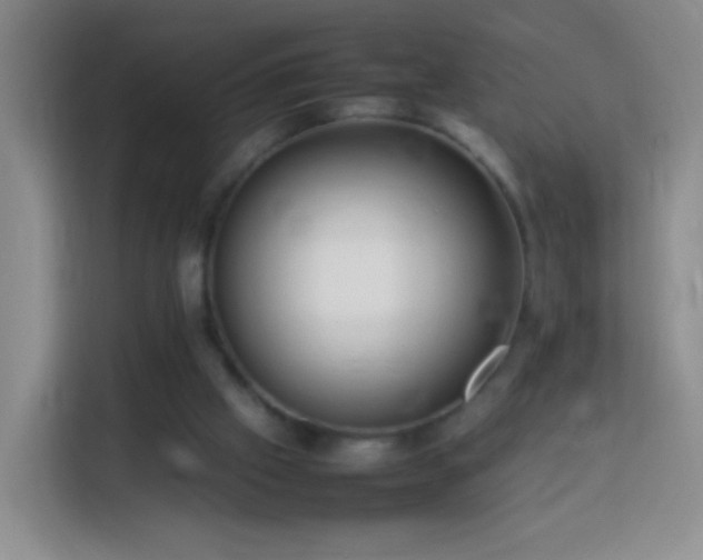 X0000114060057200910051225