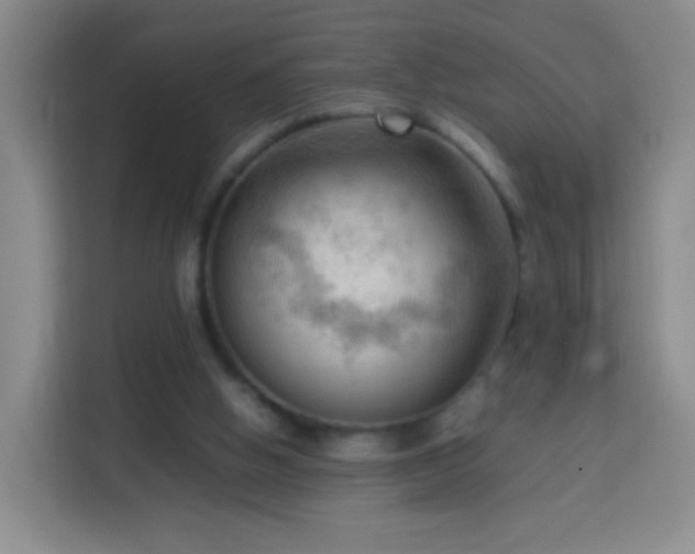 X0000114060058200910051225