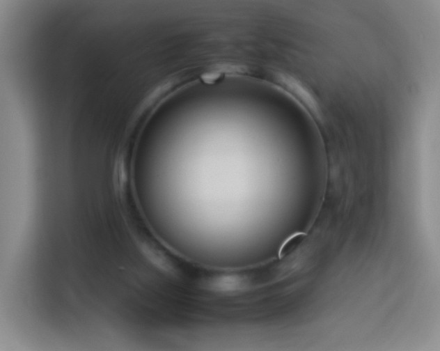 X0000114060059200910051225