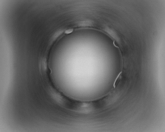 X0000114060060200910051225