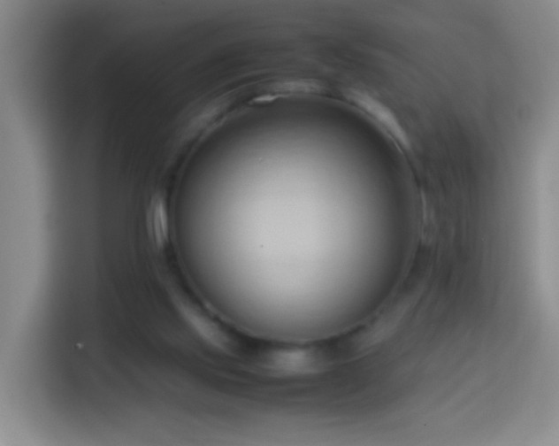 X0000114060061200910051225