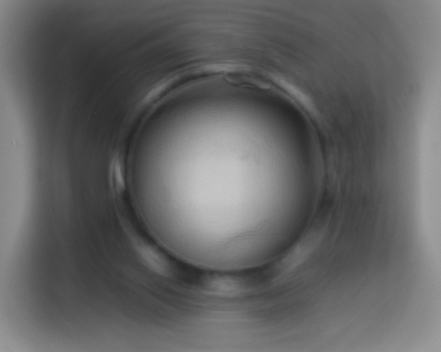 X0000114060062200910051225