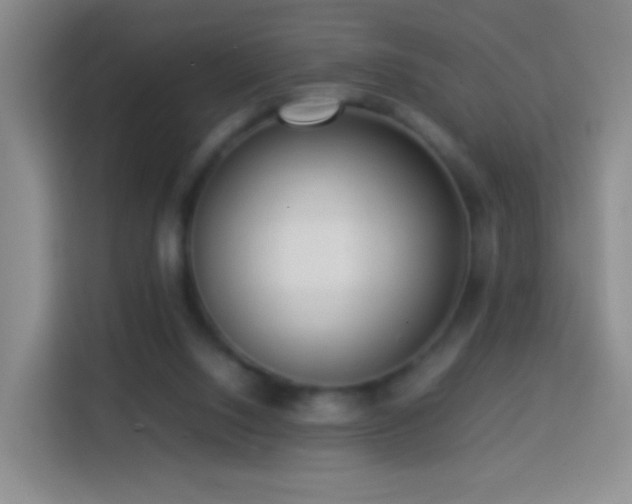 X0000114060064200910051225