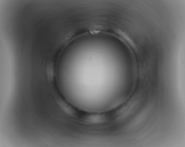 X0000114060065200910051225