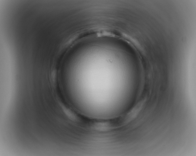 X0000114060066200910051225