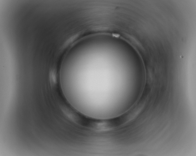 X0000114060068200910051225