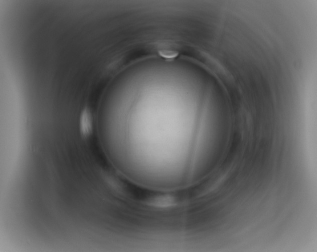 X0000114060075200910051225