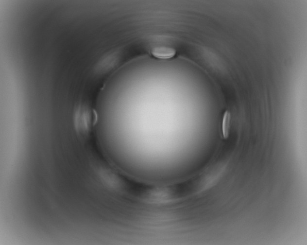 X0000114060076200910051225