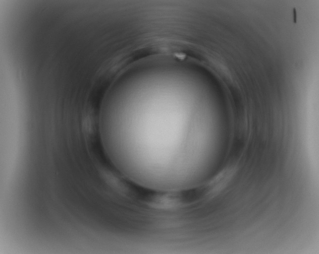 X0000114060078200910051225