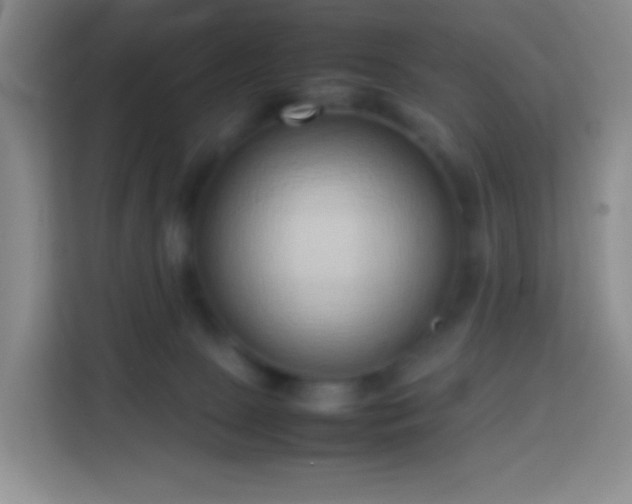 X0000114060081200910051225