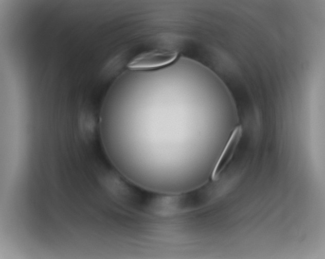 X0000114060084200910051225