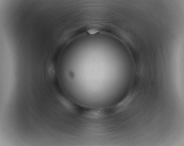 X0000114060086200910051225