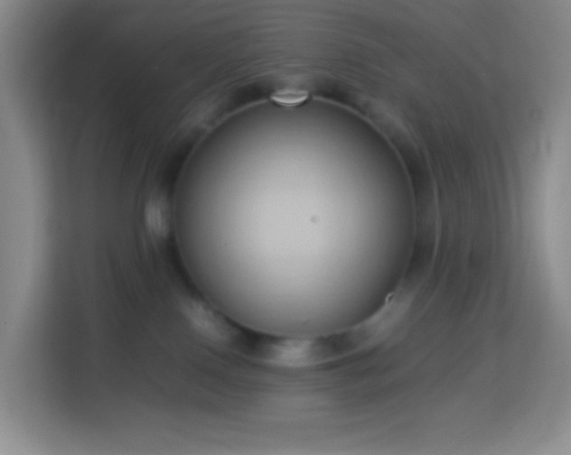 X0000114060090200910051225