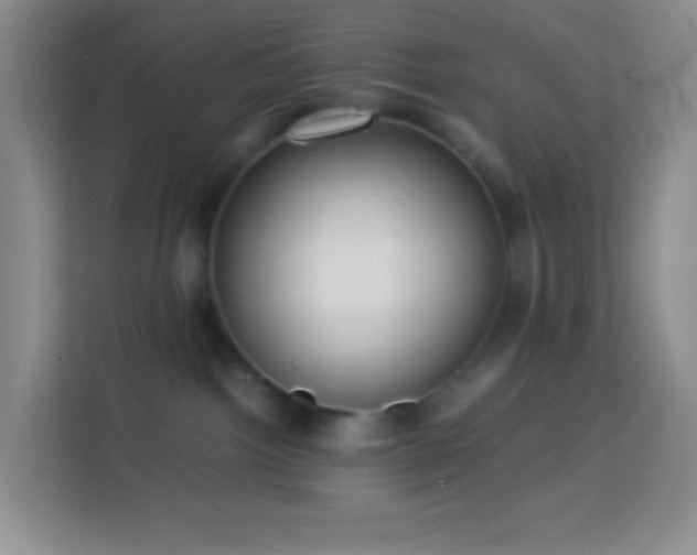 X0000114060092200910051225