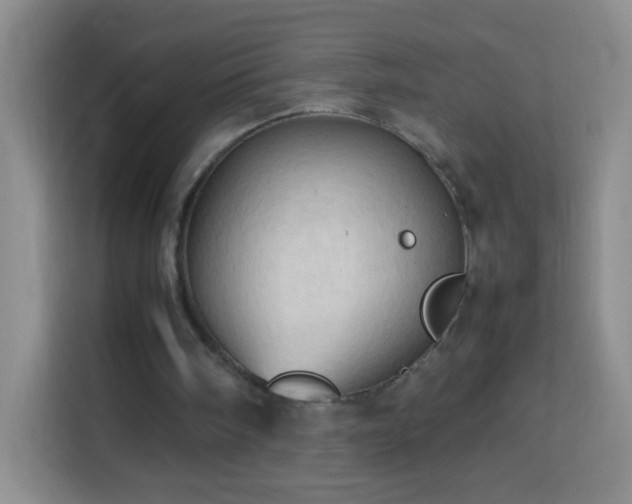 X0000114060098200910051224